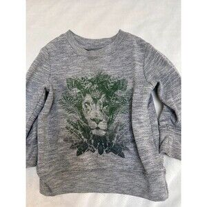 Cherokee Baby Boys Lion Graphic Sweatshirt – 18 Months – Gray